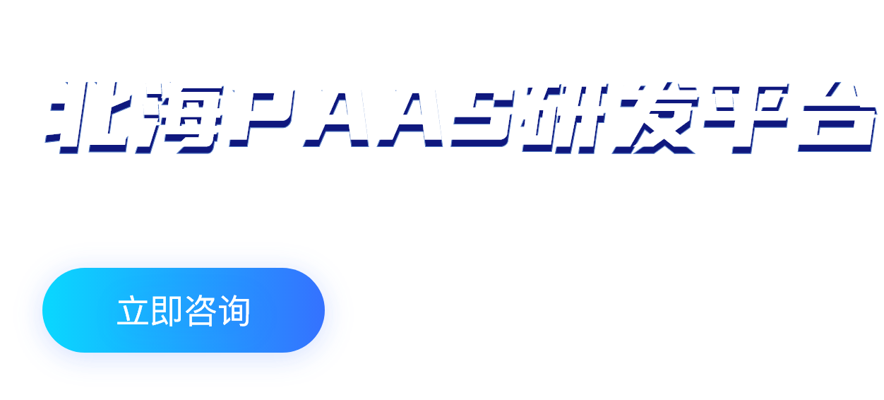 PAAS研發(fā)平臺(tái)